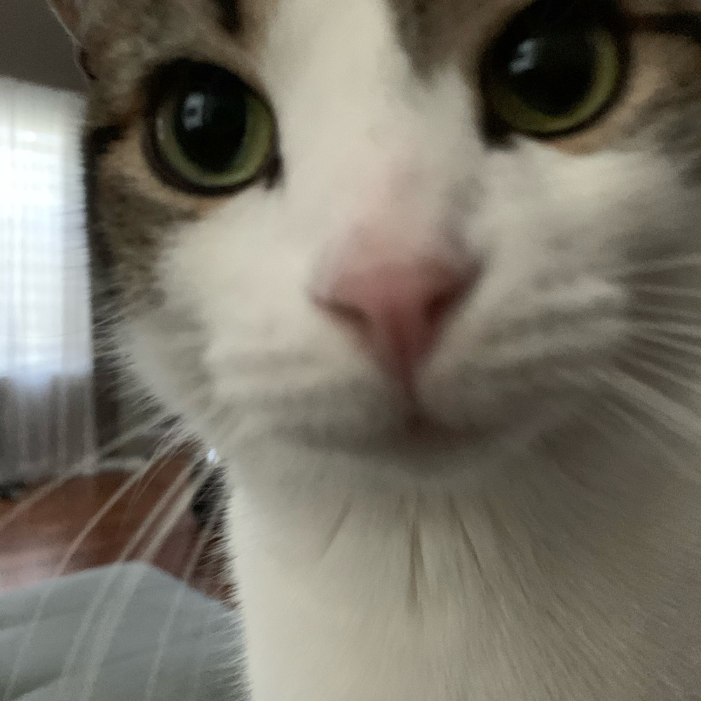 Meet your Posher, Meredith